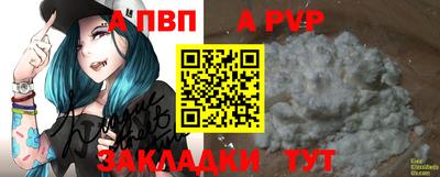 дживик Моздок