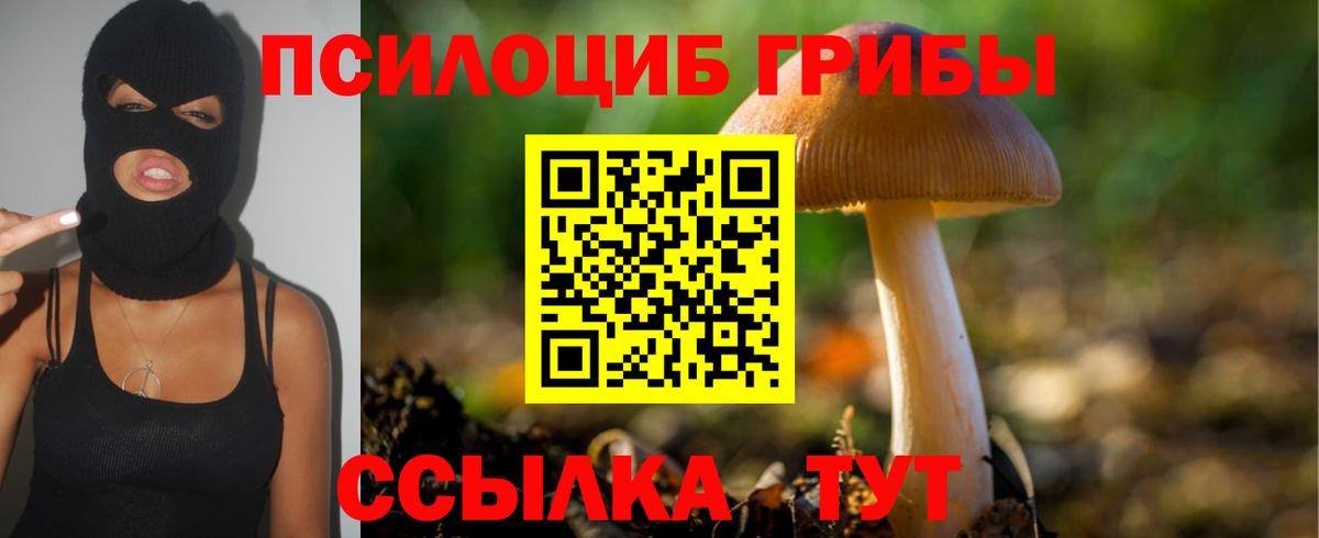 Будённовск  Псилоцибиновые грибы Psilocybine cubensis  Галлюциногенные грибы Psilocybe  Вход с VPN 